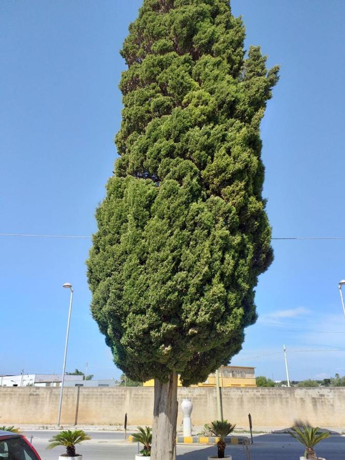 L'Albero Bello Holiday Mazara del Vallo Dış mekan fotoğraf