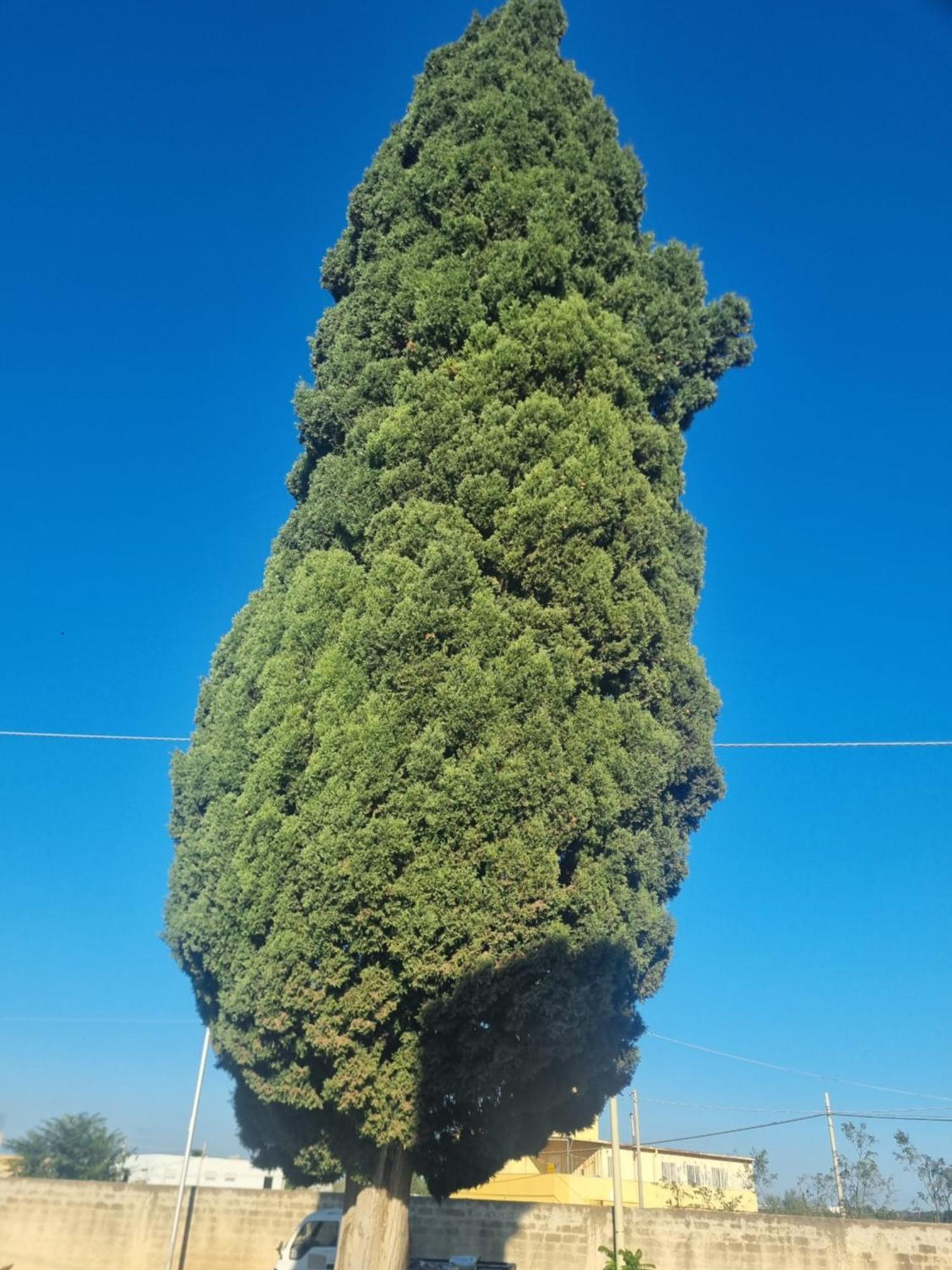 L'Albero Bello Holiday Mazara del Vallo Dış mekan fotoğraf